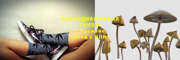 mdpv Алзамай