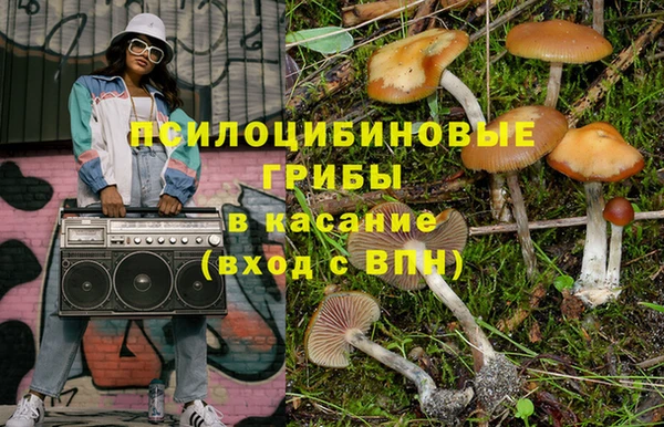 МДПВ Алексин